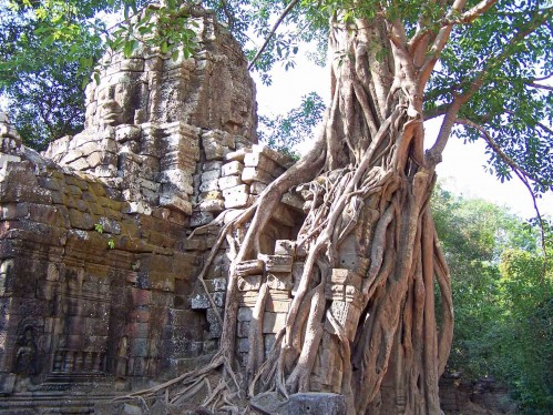 Cambodia package tour 5 days